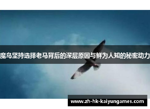 魔鸟坚持选择老马背后的深层原因与鲜为人知的秘密动力 魔鸟坚持选择老马背后的深层原因与鲜为人知的秘密动力